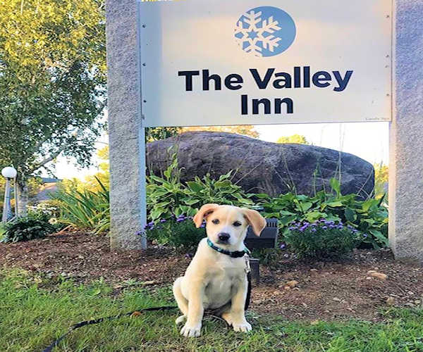 Valley Inn Welcoming Committee